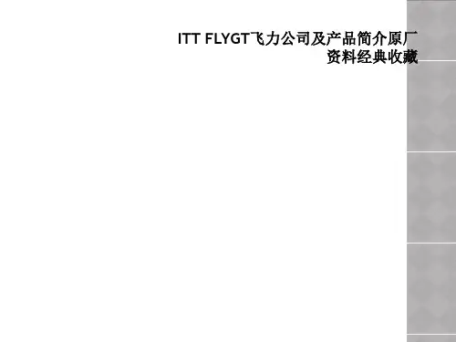 ITT FLYGT飞力公司及产品简介原厂资料经典收藏