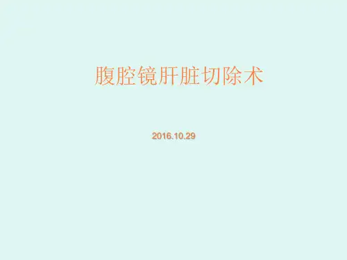 腹腔镜肝切除术ppt课件