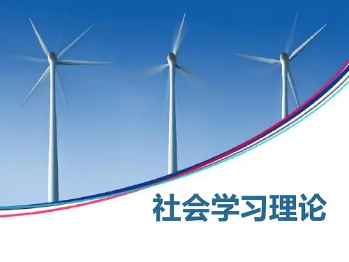 社会学习理论PPT课件