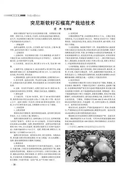 突尼斯软籽石榴高产栽培技术