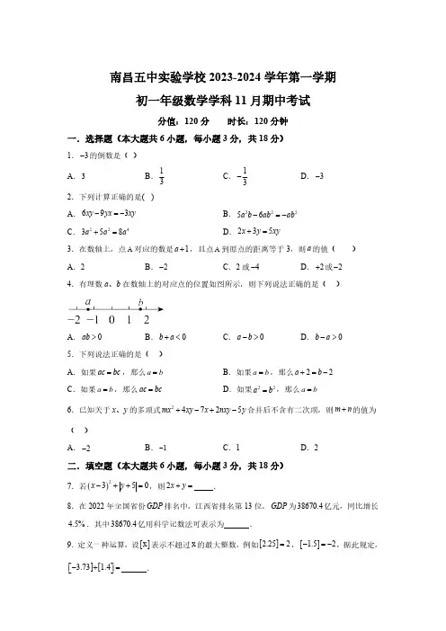 江西省南昌五中实验学校2023-2024学年七年级上学期期中数学试题 (含解析)