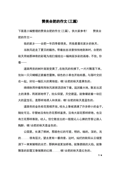 赞美合肥的作文(三篇)
