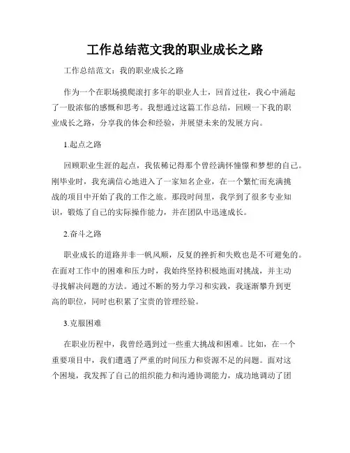 工作总结范文我的职业成长之路