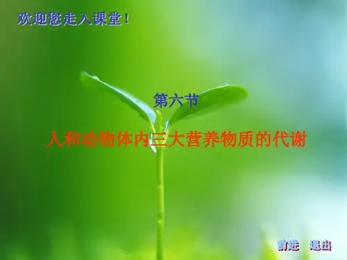 人体内三大营养物质的代谢PPT教学课件