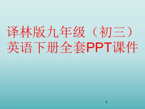 译林版九年级(初三)英语下册全套PPT课件