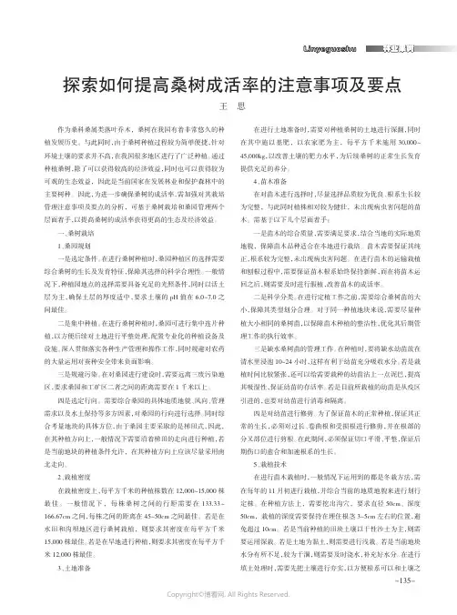 探索如何提高桑树成活率的注意事项及要点