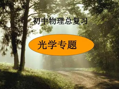 中考总复习光学专题