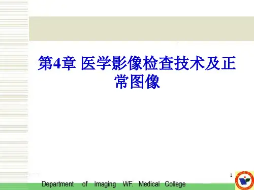 分角线投照技术-口腔颌面外科学