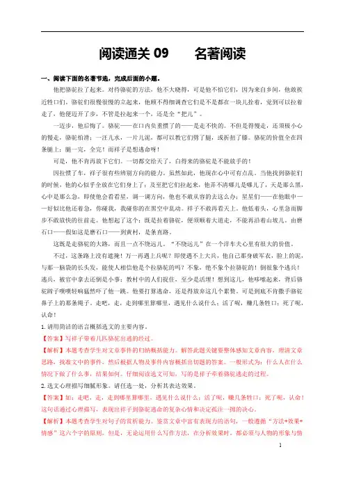 阅读通关09 名著阅读(解析版)
