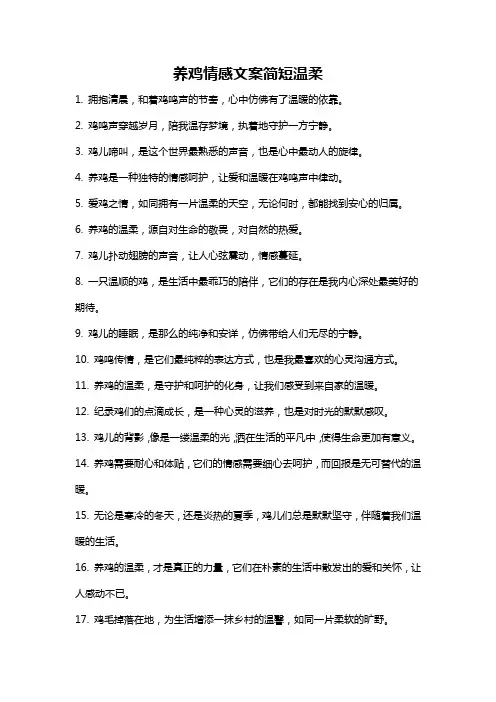 养鸡情感文案简短温柔