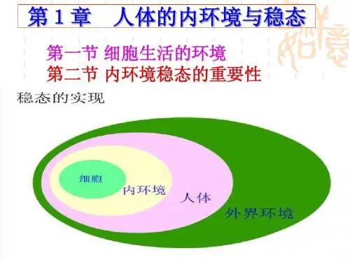高二生物必修3第一章第一节人体的内环境与稳态课件-新人教ppt