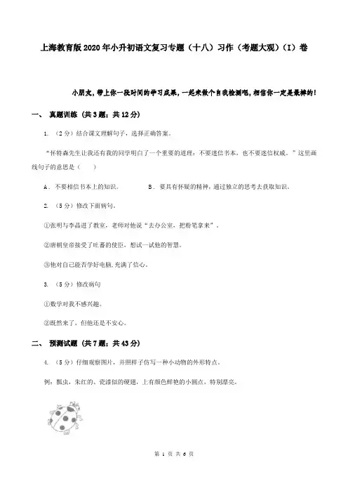 上海教育版2020年小升初语文复习专题(十八)习作(考题大观)(I)卷