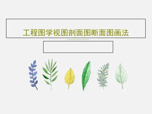 工程图学视图剖面图断面图画法共79页