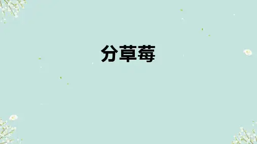 北师大版数学二年级下册 分草莓 课件(共22张PPT)
