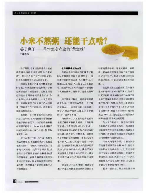 小米不熬粥 还能干点啥？谷子糜子——旱作生态农业的“黄金珠”