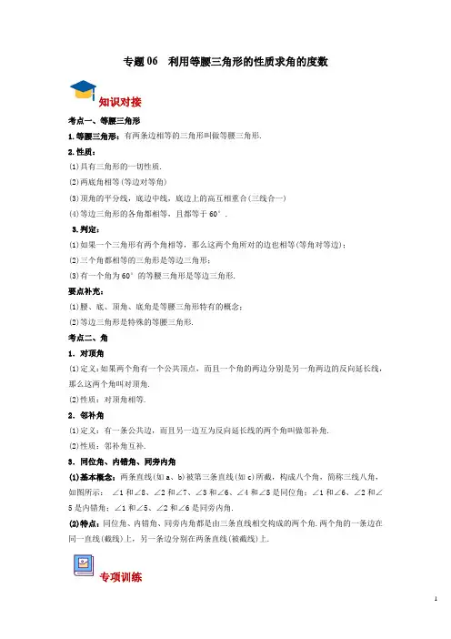 专题06 利用等腰三角形的性质求角的度数(解析版)