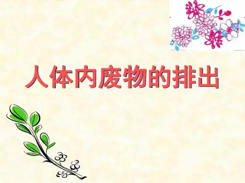 人教版初中生物七年级下册第四单元第五章  人体内废物的排出  课件