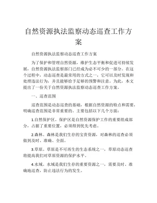 自然资源执法监察动态巡查工作方案