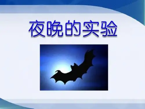 《夜晚的实验》PPT课件4