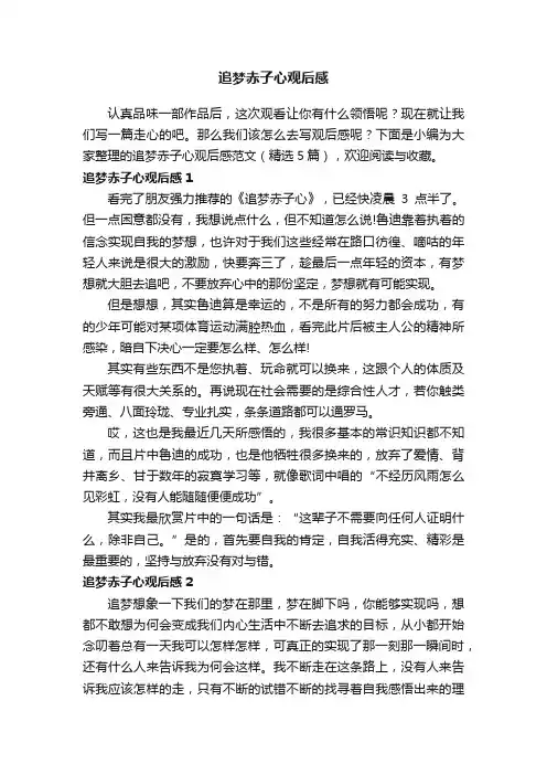 追梦赤子心观后感