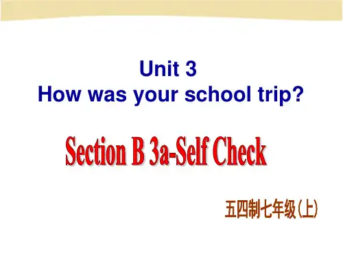 鲁教版七(上) Unit  3How was your school trip Section B-3