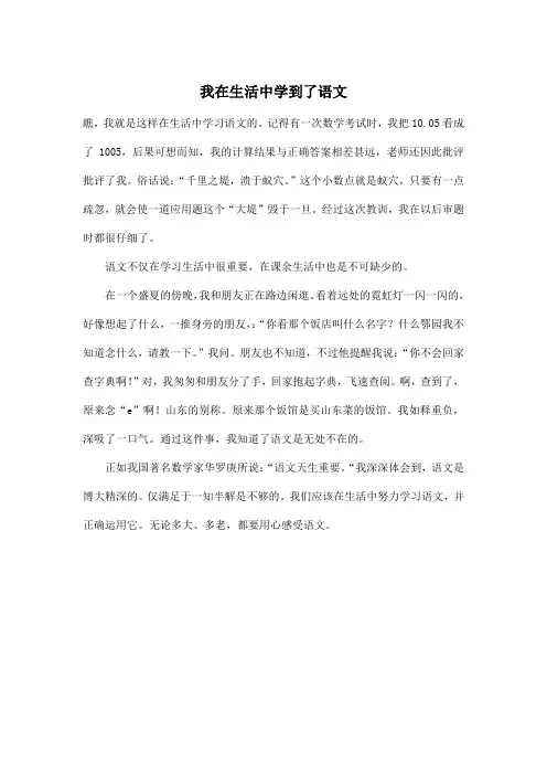 我在生活中学到了语文_初中初一作文400字