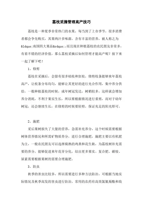 荔枝采摘管理高产技巧