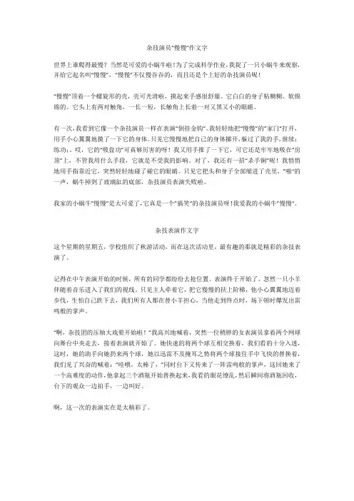 杂技表演作文400字