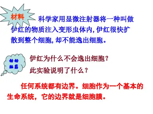 细胞膜的成分、结构和功能