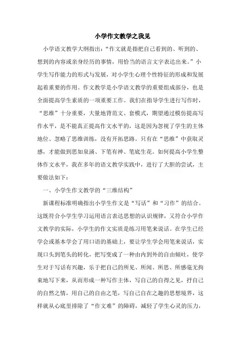小学作文教学之我见