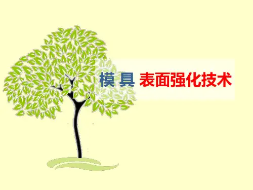 模具表面强化技术第一章综述