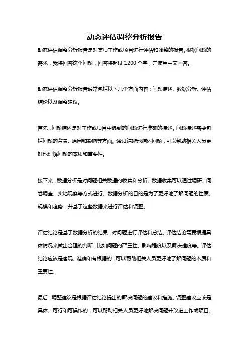 动态评估调整分析报告