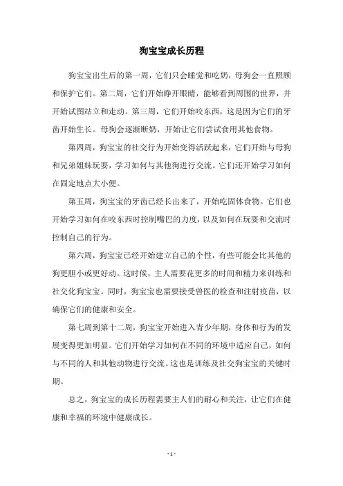 狗宝宝成长历程