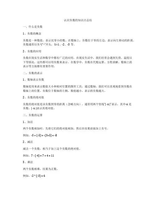 认识负数的知识点总结