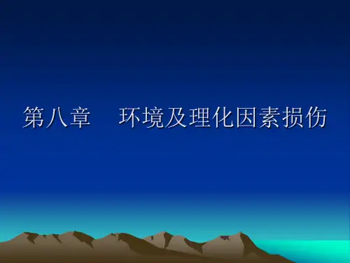 理化损伤