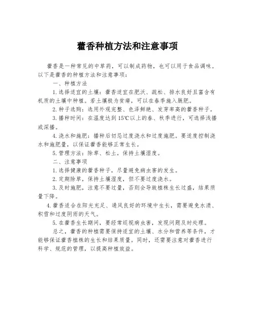 藿香种植方法和注意事项