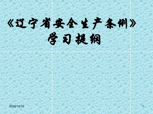 辽宁省安全生产条例学习提纲PPT教学课件