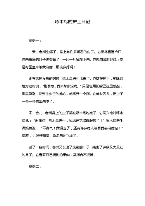 啄木鸟的护士日记