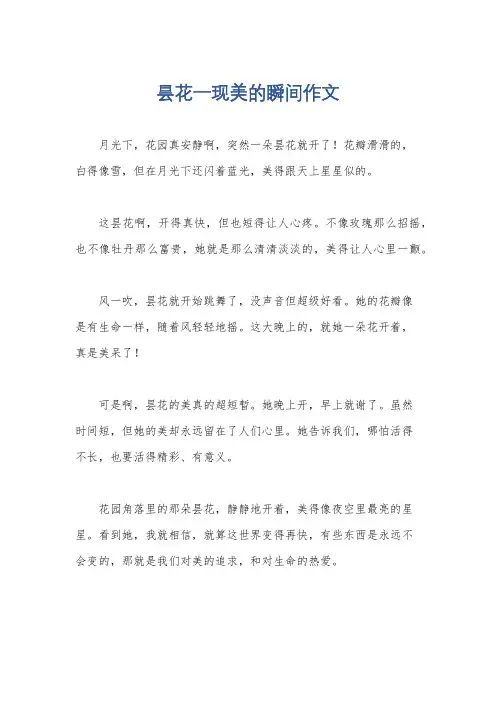 昙花一现美的瞬间作文