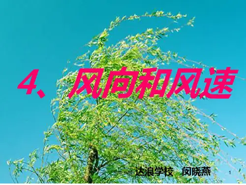 演示文档四年级上册科学《风向和风速》.ppt