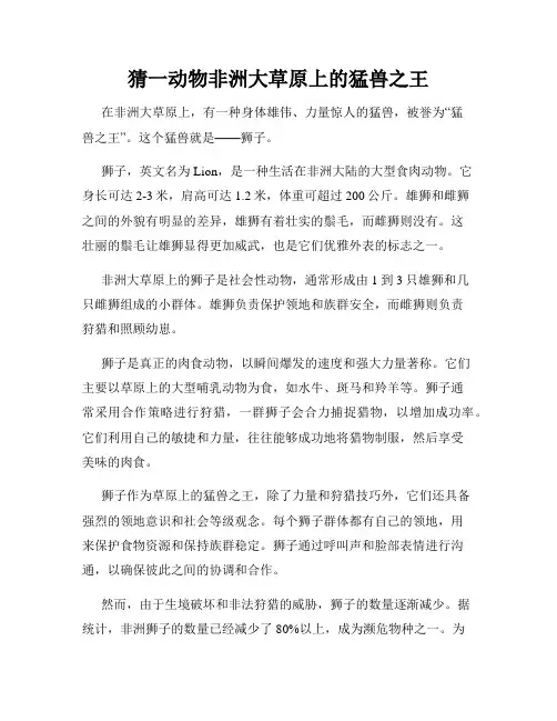 猜一动物非洲大草原上的猛兽之王