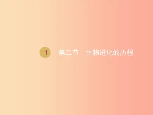 八年级生物下册 第7单元 第3章 第2节 生物进化的历程课件PPT