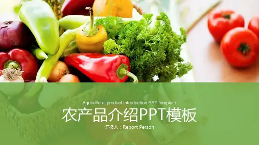 生态农业项目策划书PPT