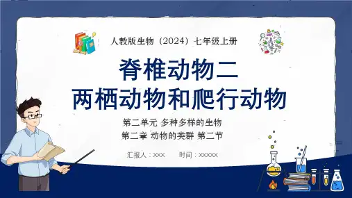 人教版七年级生物上册《两栖动物和爬行动物》课件