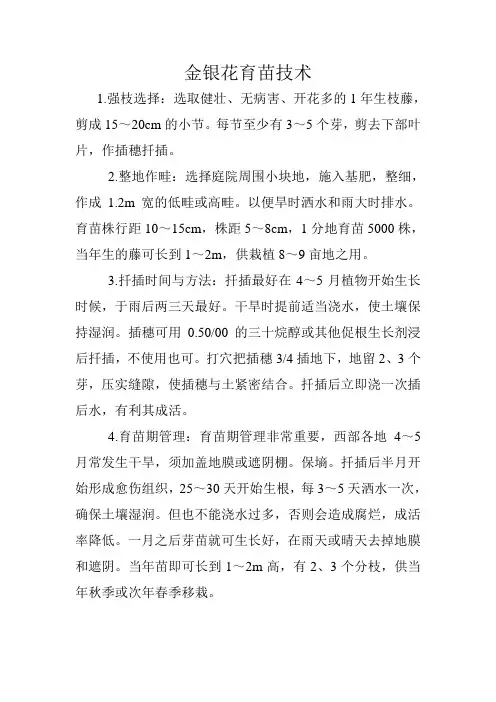 金银花育苗技术