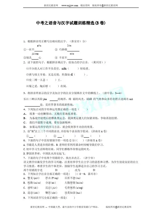 中考之语音与汉字试题训练精选(B卷)