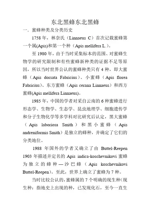 东北黑蜂东北黑蜂