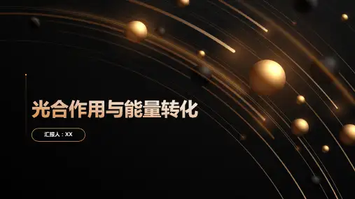 光合作用与能量转化