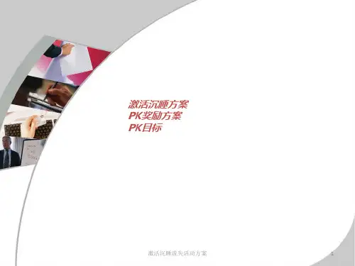 激活沉睡流失活动方案 ppt课件