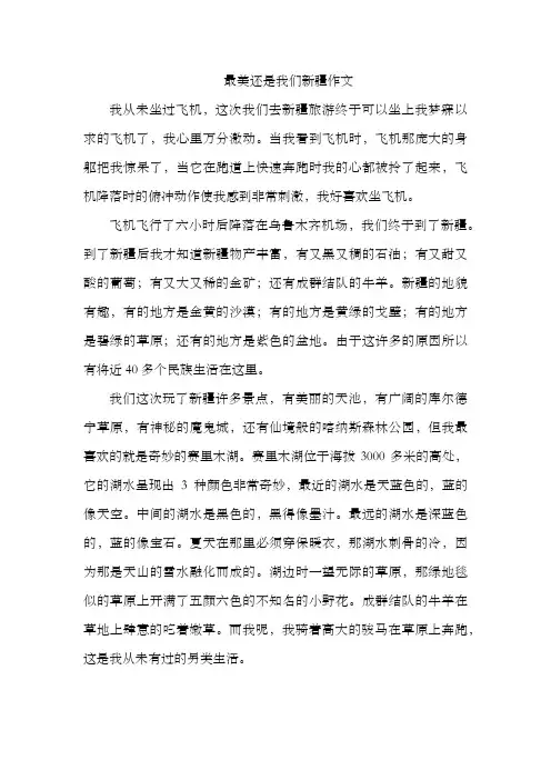 最美还是我们新疆作文